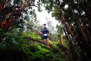 BIB: 
                            <button type="button" onclick="openModal(26201995)" class="btn btn-primary btn-sm float-right btn-popup" data-toggle="modal" data-target=".modal-high-quality">
                        <i class="fas fa-shopping-cart"></i> Add to Cart
                    </button>
                                            <button type="button" onclick="isThisMe(26201995, true)" class="btn btn-success btn-sm float-right btn-popup btn-isme hidden" data-toggle="tooltip" data-placement="bottom" title="นี่คือรูปของคุณใช่ไหม คลิกที่นี่เพื่อเอาเข้าอัลบั้ม">
                        <i class="fas fa-plus"></i> Add to album
                    </button>
                    <button type="button" onclick="isThisMe(26201995, false)" class="btn btn-warning btn-sm float-right btn-popup btn-isnotme hidden">
                        <i class="fas fa-ban"></i> Remove from album
                    </button>